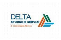 Delta Spurgo e Servizi (Montesilvano) logo