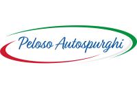 Peloso Autospurghi Spurghi e Pozzi Neri Verona (San Martino Buon Albergo) logo